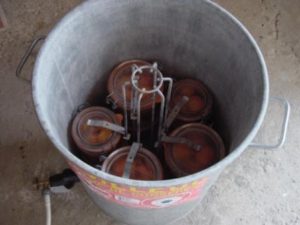 stérilisateurs à gaz