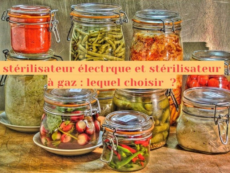 Quelles sont les différences entre un stérilisateur électrique et à gaz ?
